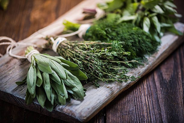 Fitoterapia: El Poder Curativo de las Plantas
